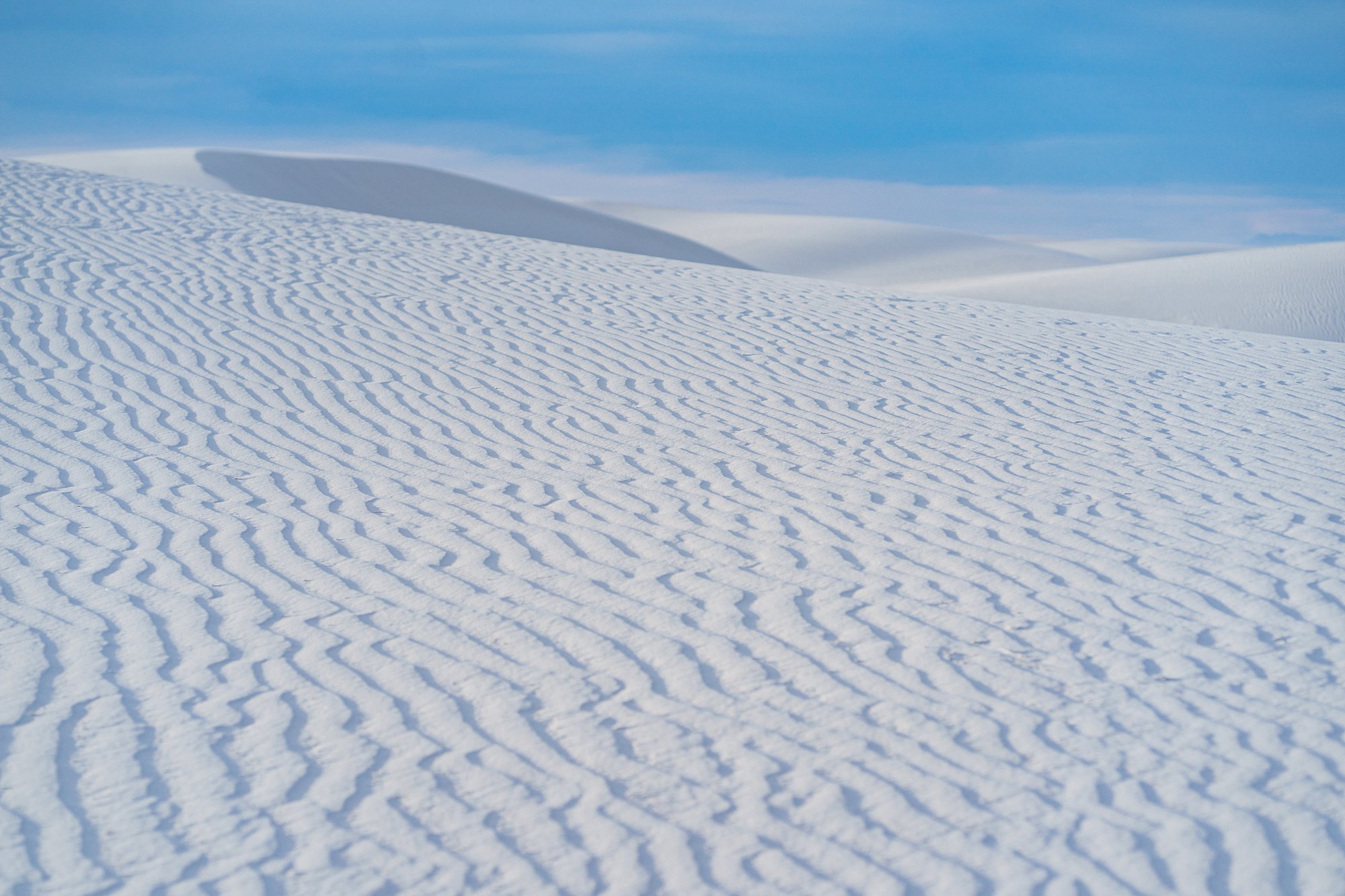 White Sands Photo Shoot New Mexico